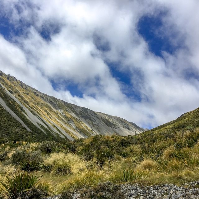 뉴질랜드 대자연🇳🇿 남섬의 트레킹 코스를 소개합니다⛰