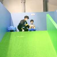 🌟 Pegga Pig Happy Day Interactive Play🥳🌟 