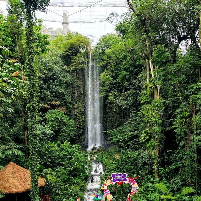 Jurong Bird Park