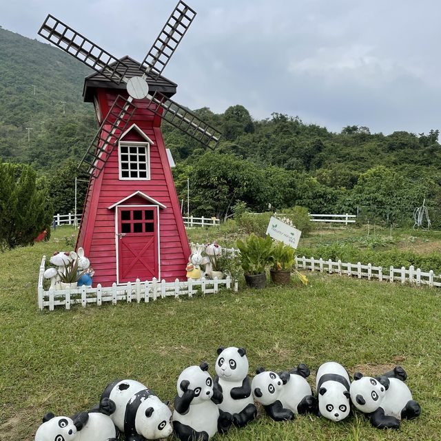 香港🇭🇰隠世清新地🫁一家大細情侶💑農場小體驗