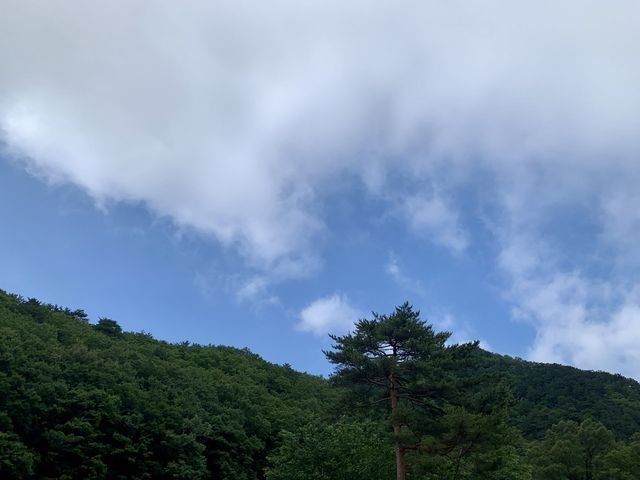 선선한 날씨에 딱 가기 좋은, 속초 설악산 🍃