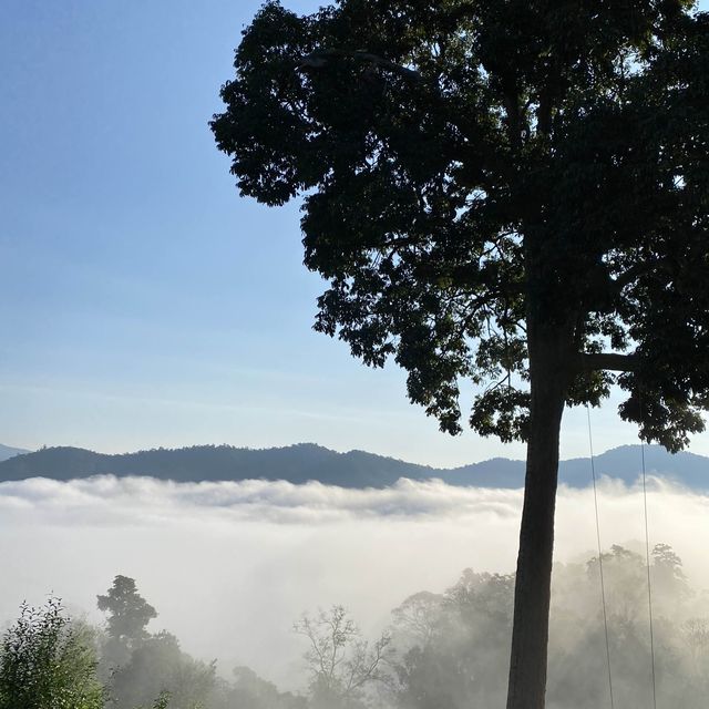 Chiang Mai 2022🇹🇭