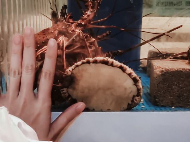 海邊享受新鮮海鮮聖地黑潮市場🐟