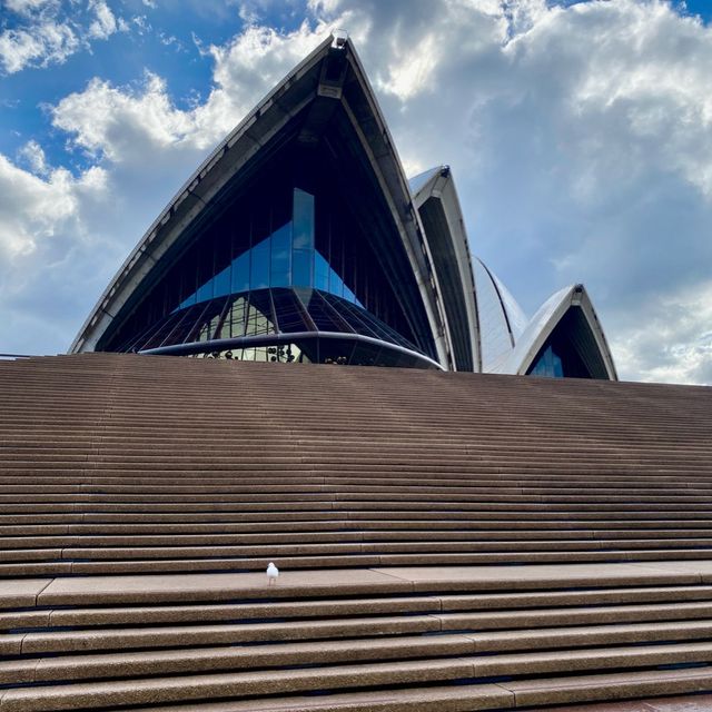 One of the best view in Sydney Harbour