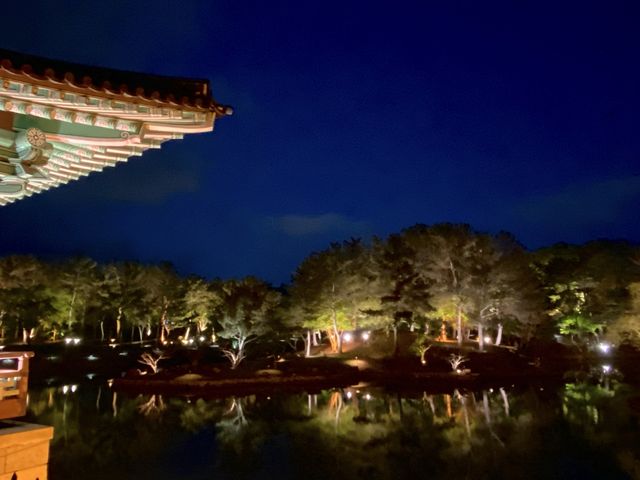 경주의 밤을 느끼기 위해서는 필수로 방문해야 하는 경주 동굴과 월지✨💫