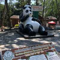 🦩🦘 Chiang Mai Zoo 🦥 🐘