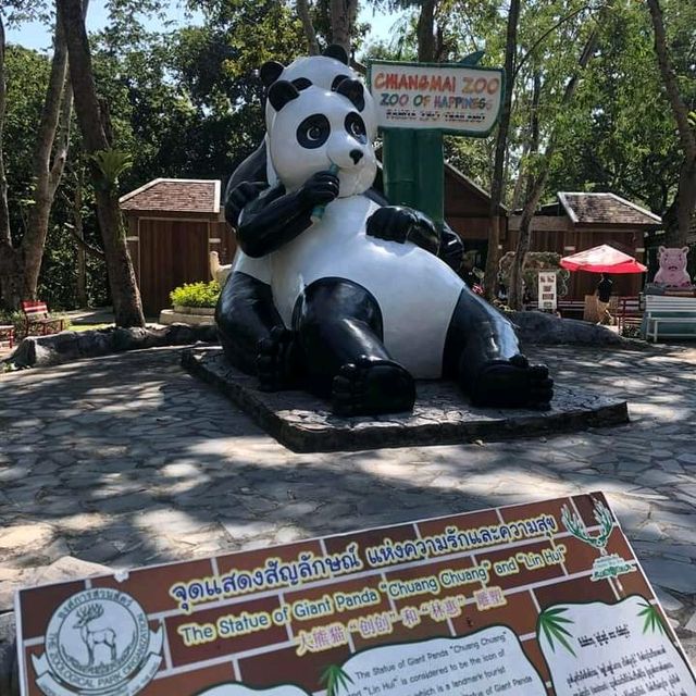 🦩🦘 Chiang Mai Zoo 🦥 🐘