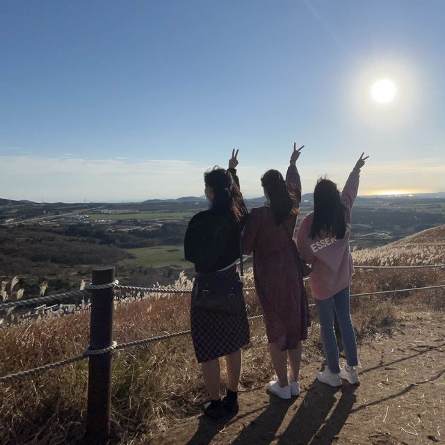 가을 제주 느끼고 싶다면 꼭 들러야 할 곳, 제주 새별오름🍂