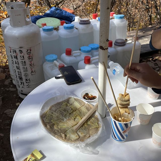 민둥산에서 가을 막차타기