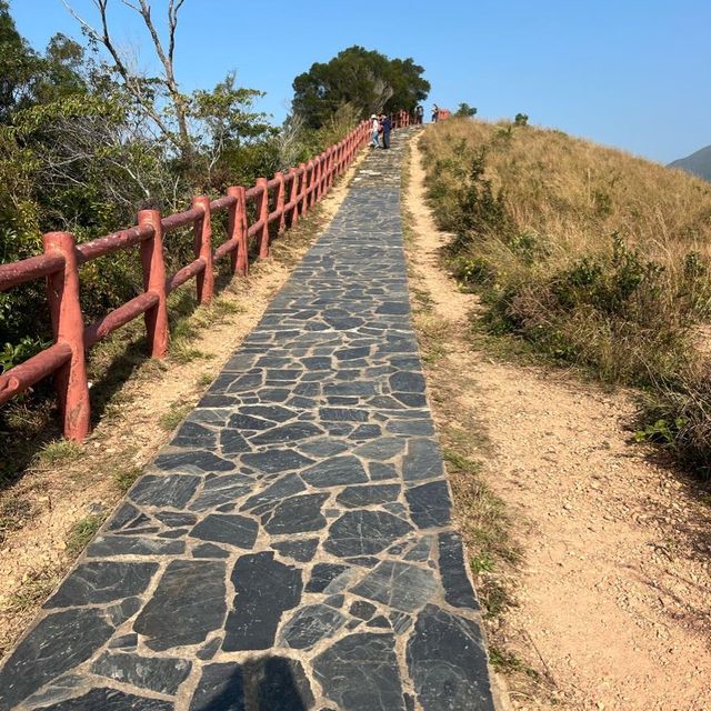 虎山觀景台-網紅粉欄杆 虎山觀景台-網紅粉欄杆