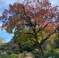 名古屋人氣靚景鶴舞公園