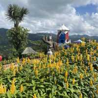 Sirao Garden Cebu City Philippines 
