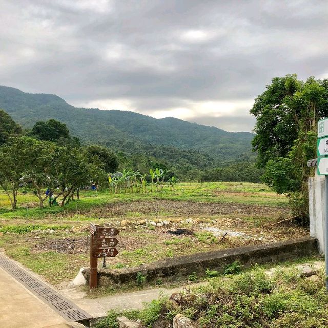 荔枝窩村