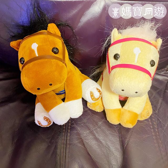 香港賽馬導賞遊