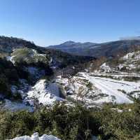 真っ白な万座温泉エリアの山側