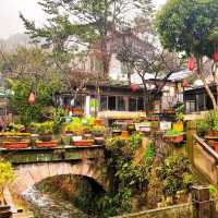 Longjing Village; find the Dragon Well