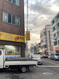 [제주 제주시] 공항 근처 접근성 갑 베스트 웨스턴 호텔