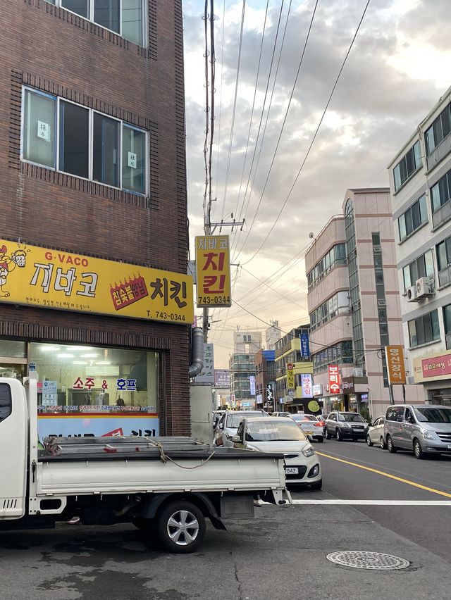 [제주 제주시] 공항 근처 접근성 갑 베스트 웨스턴 호텔
