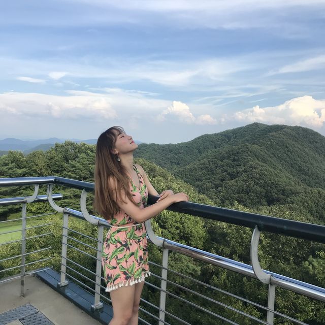 여름에만 열리는 놀이공원! 비발디파크 오션월드 🤿