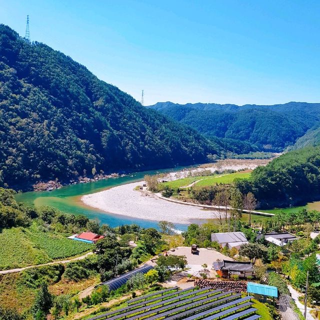 🌳 산 속 힐링 뷰가 펼쳐지는 봉화 [카페 오로지]