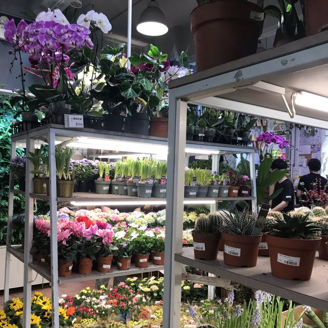 舊式情懷餐廳