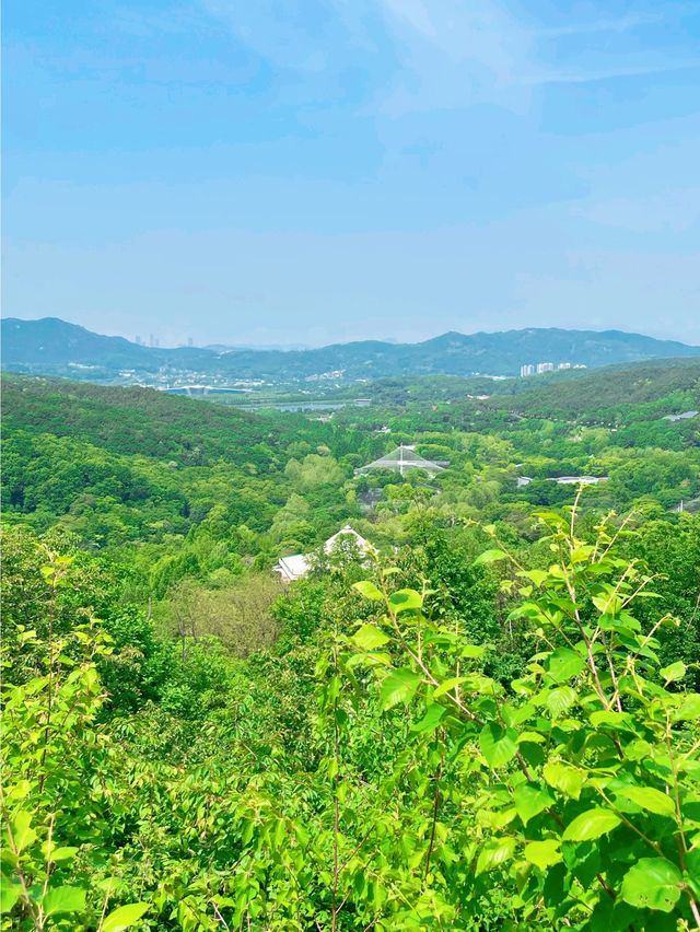 청계산에서 만난 멋진 전망대