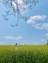 초록초록 윈도우 배경화면이 생각나는 카페🌾💚