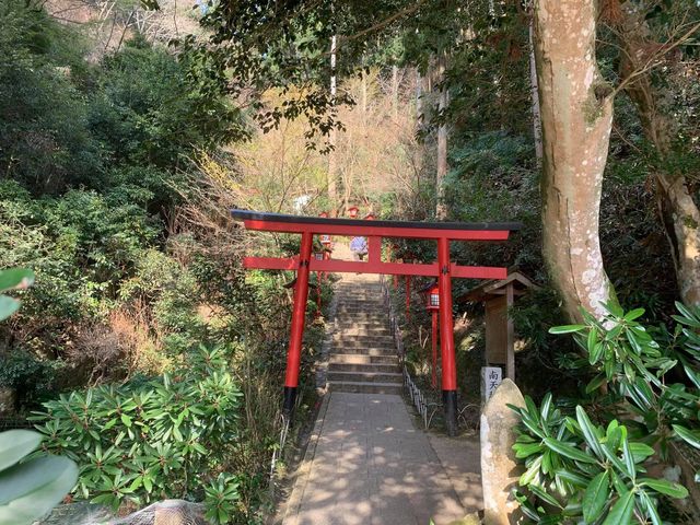 福岡「南藏院」參拜之旅  