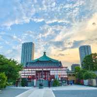 Buổi chiều ở công viên Ueno