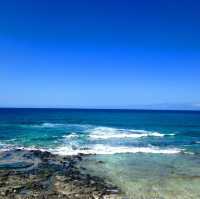 世界級的渡假村🏖️｜給你獨特的夏威夷體驗🌴