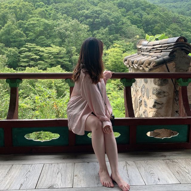 [경상남도 밀양] 자연에서 만나는 포토스팟🧡