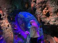 Sea Life Malaysia