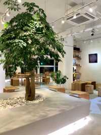 【🤍西環純白木系打卡cafe🪵落地大玻璃空間感十足✨寵物友善 🐶🐱】