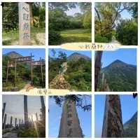 昂坪360🚡睇大佛✋！搵🐂牛牛！長文📝