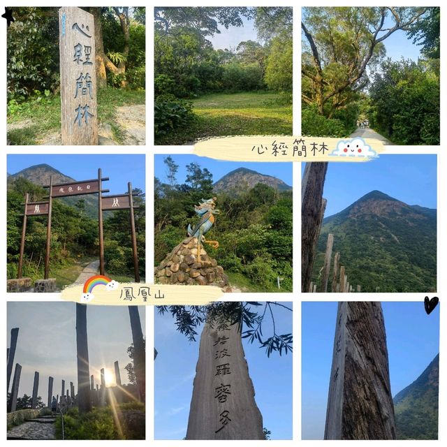 昂坪360🚡睇大佛✋！搵🐂牛牛！長文📝