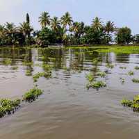 Live slow life on a boat house in Allepey 