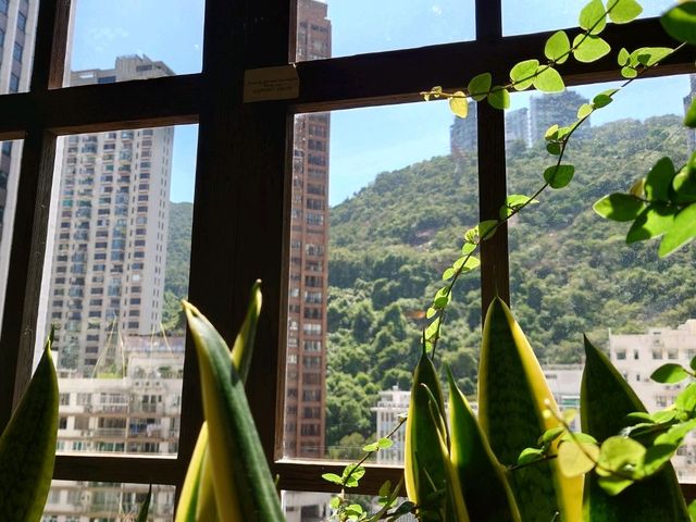 我的意大利廚房：喺呢間餐廳，我感到戀愛。
