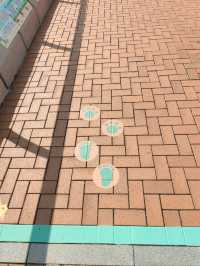 秋高氣爽慢遊中環碼頭海濱長廊