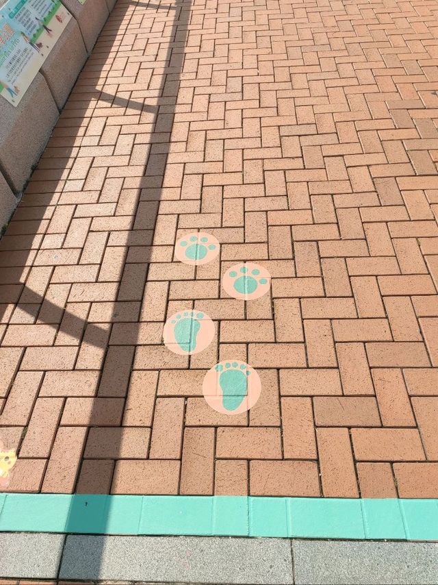秋高氣爽慢遊中環碼頭海濱長廊