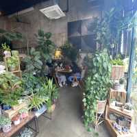 Knots cafe and living