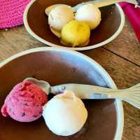 โซน All Day Buffet @ Soneva Kiri