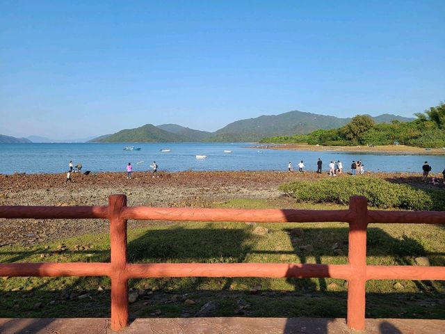 【CP值最高的紅樹林~泥涌🌴】
