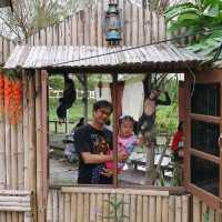 🌾🍃คาเฟ่&ร้านอาหารบรรยากาศดีวิวทุ่งนา #นครปฐม 