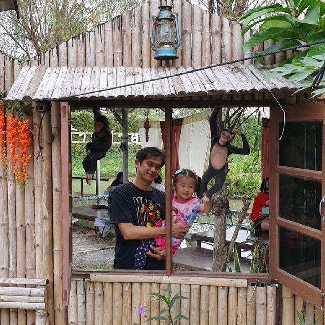 🌾🍃คาเฟ่&ร้านอาหารบรรยากาศดีวิวทุ่งนา #นครปฐม 