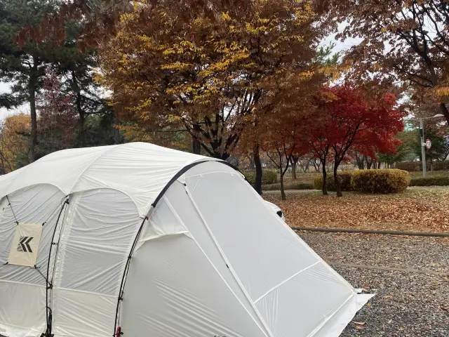 가을 캠핑 도심 속 즐기는 화랑유원지!🍁