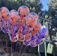 어른들을 위한 디즈니랜드🎡디즈니 어드벤처 파크🎢