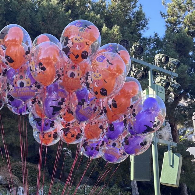 어른들을 위한 디즈니랜드🎡디즈니 어드벤처 파크🎢