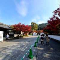秋は紅葉の【永観堂】✨