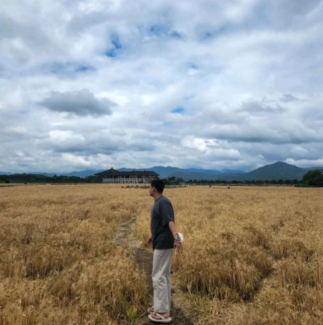 경주 황룡사 9층 목탑의 절터, 황룡사지 경주 황룡사 9층 목탑의 절터, 황룡사지