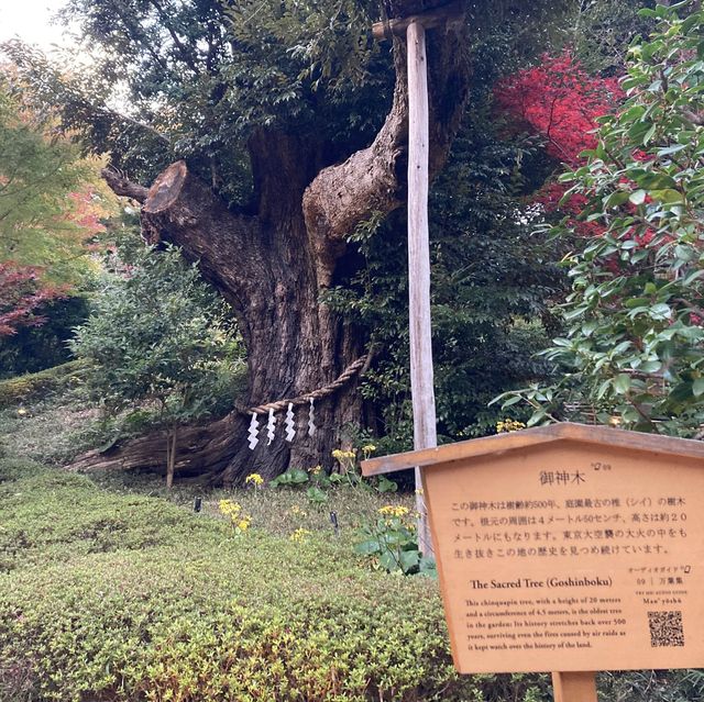 【東京】ホテル椿山荘の見応えある庭園